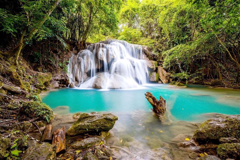 Grünes Paradies © pangpondman/adobestock